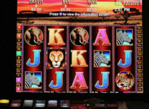 壹元娱乐官方网站入口免费版